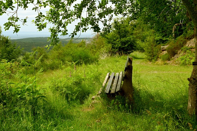 足坛的表现 足坛的表现