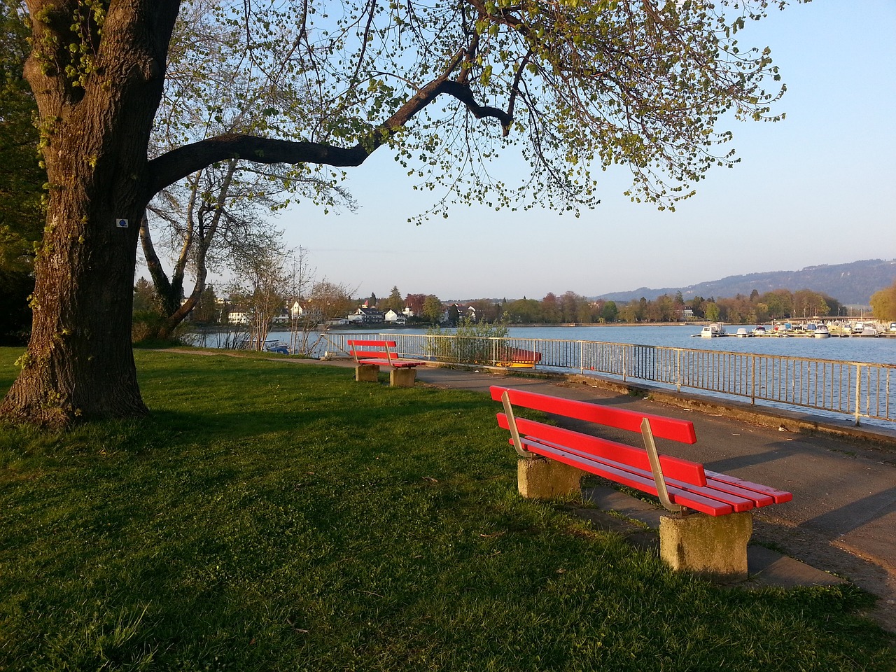 球星穆西亞 球星穆西亞