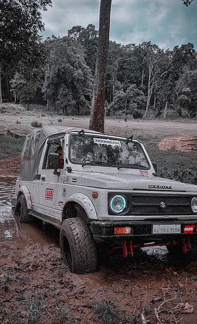 认知的微妙 认知的微妙