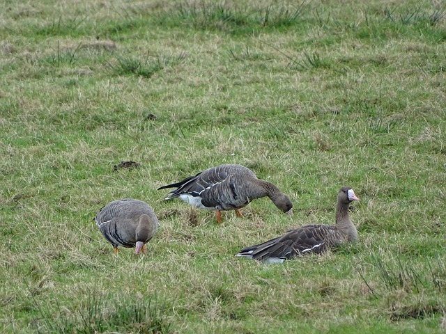 防守能力不 防守能力不